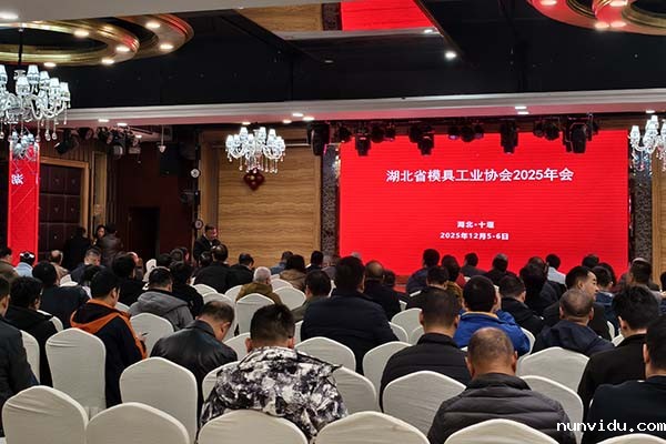 湖北模具工业协会年会 湖北模具工业协会年会
