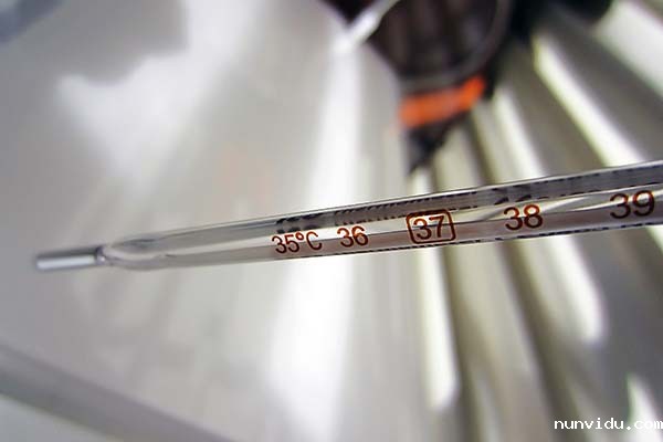 水银温度计 水银温度计